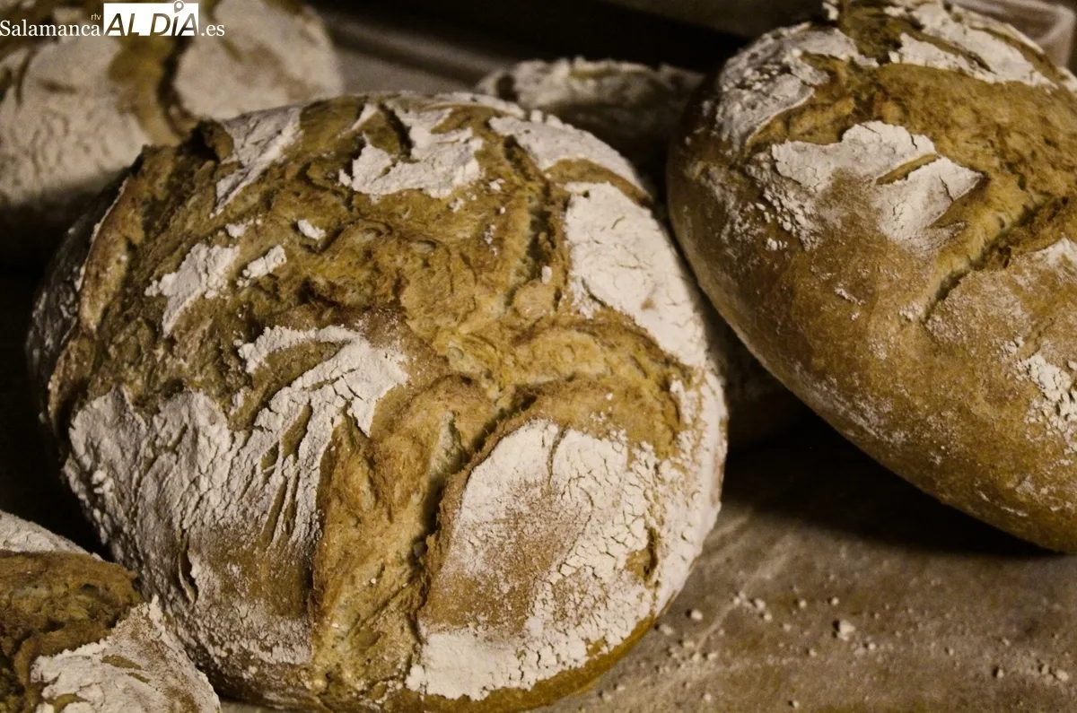 Terra Vita Rural elabora pan, empanadas, hornazos y productos de repostería para 14 localidades del Bajo Tormes y La Ramajería