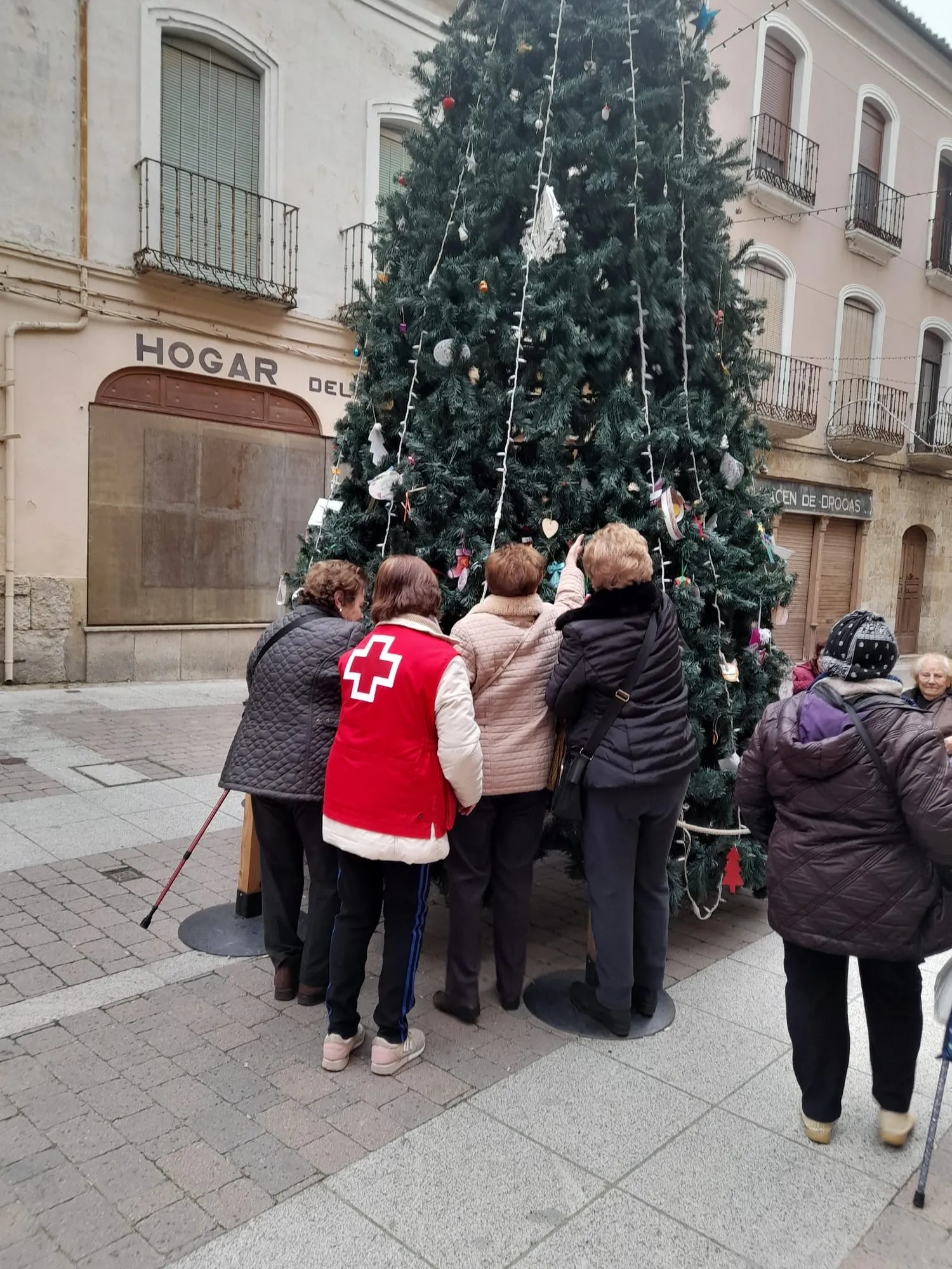 Foto 5 - Los mayores engalanan con Cruz Roja el &aacute;rbol navide&ntilde;o de la calle Madrid 
