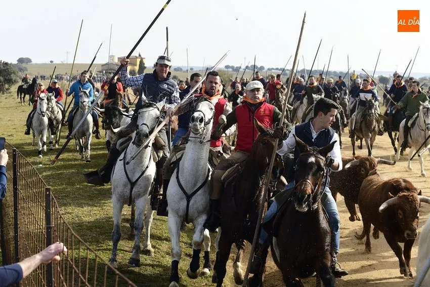 Encierro a caballo en Ciudad Rodrigo