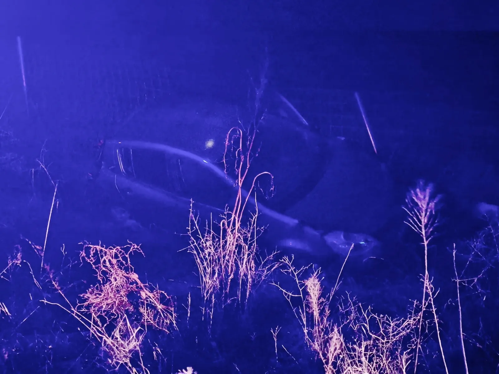Foto 2 - Un veh&iacute;culo vuelca tras salirse de la v&iacute;a en la A-50 a la altura de Pe&ntilde;aranda 