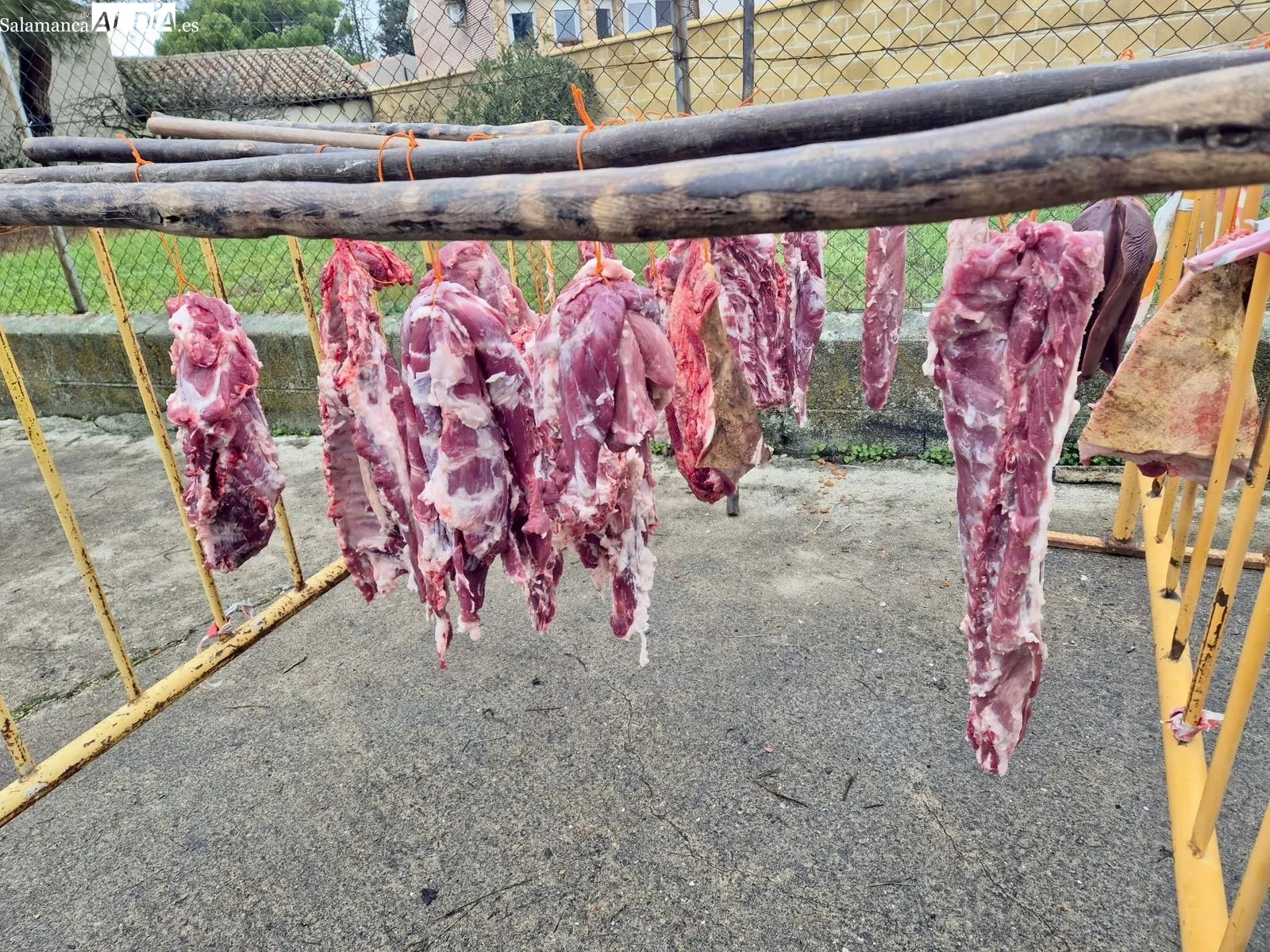 Matanza tradicional en La Vellés 