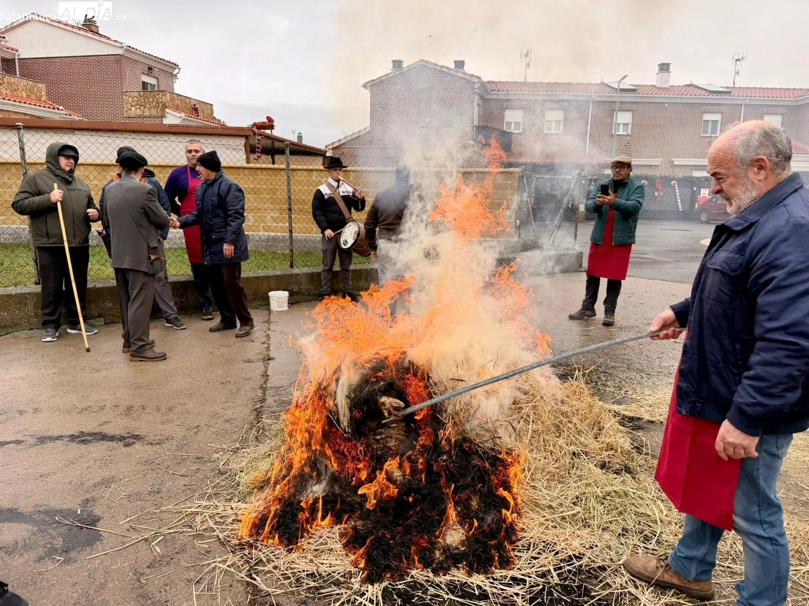 Matanza tradicional en La Vellés 