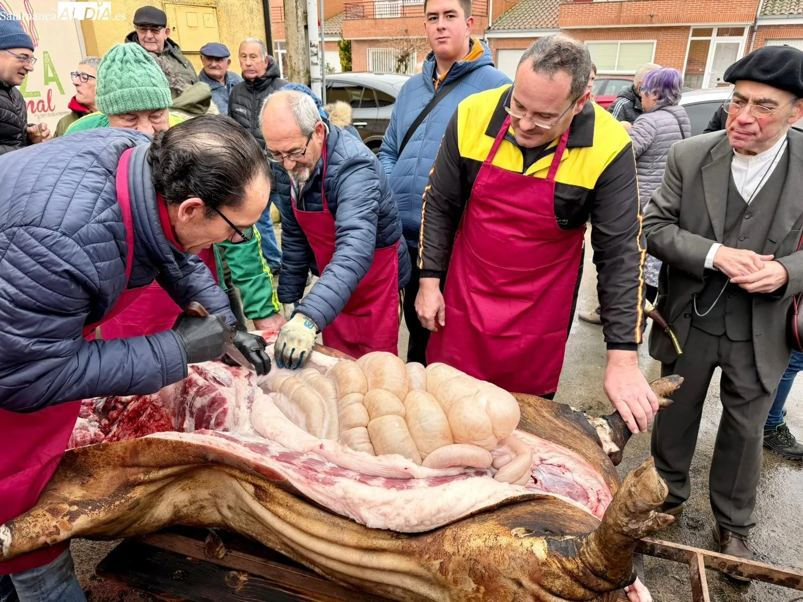 Matanza tradicional en La Vellés 