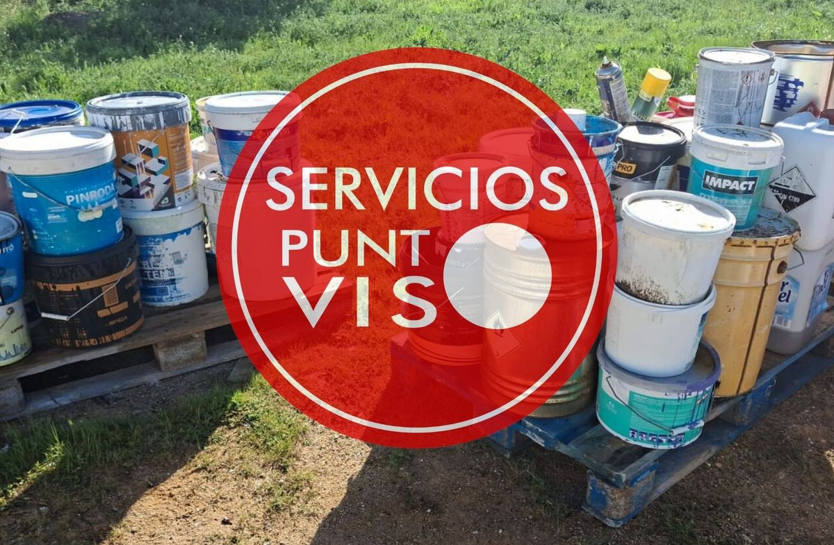 Reportaje de Servicios Punto Viso