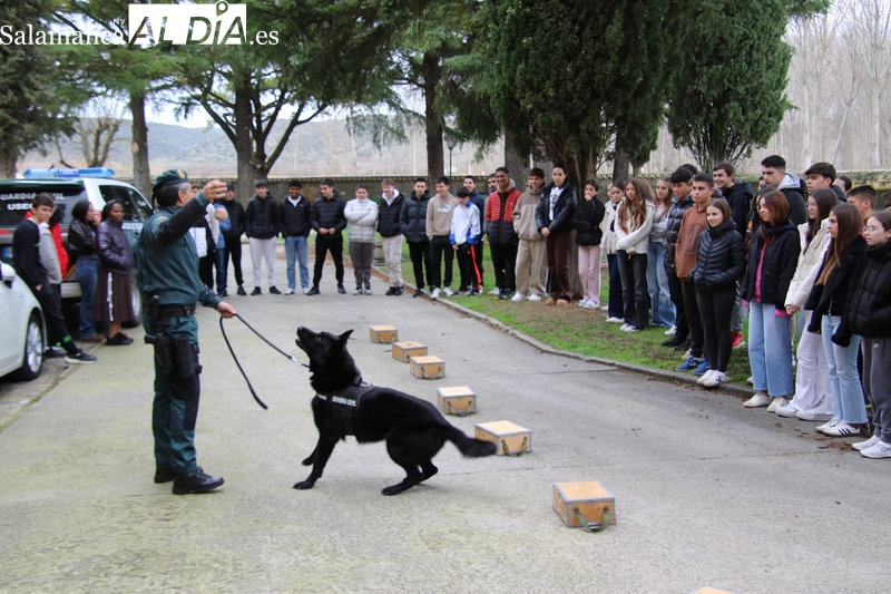 Plan Director Seguridad Escolar Salamanca: 1.800 servicios y formación con la Guardia Civil