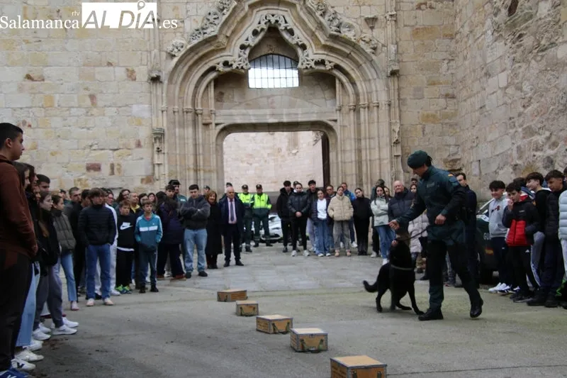 Foto 4 - El Plan Director de Seguridad Escolar llegar&aacute; a la casi totalidad de alumnos de secundaria de la provincia