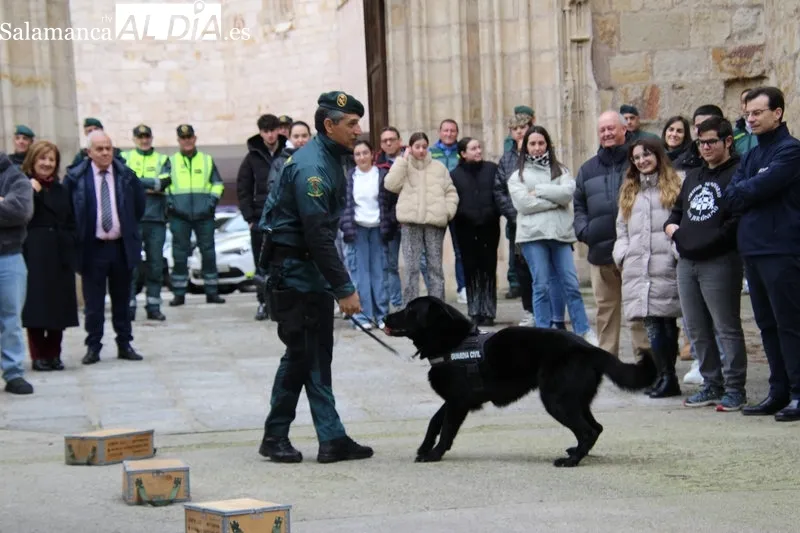 Foto 5 - El Plan Director de Seguridad Escolar llegar&aacute; a la casi totalidad de alumnos de secundaria de la provincia