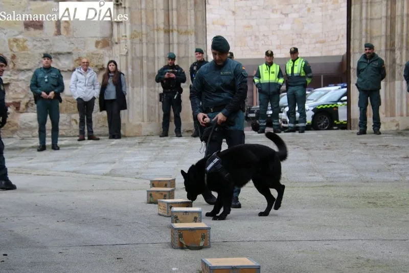 Foto 6 - El Plan Director de Seguridad Escolar llegar&aacute; a la casi totalidad de alumnos de secundaria de la provincia