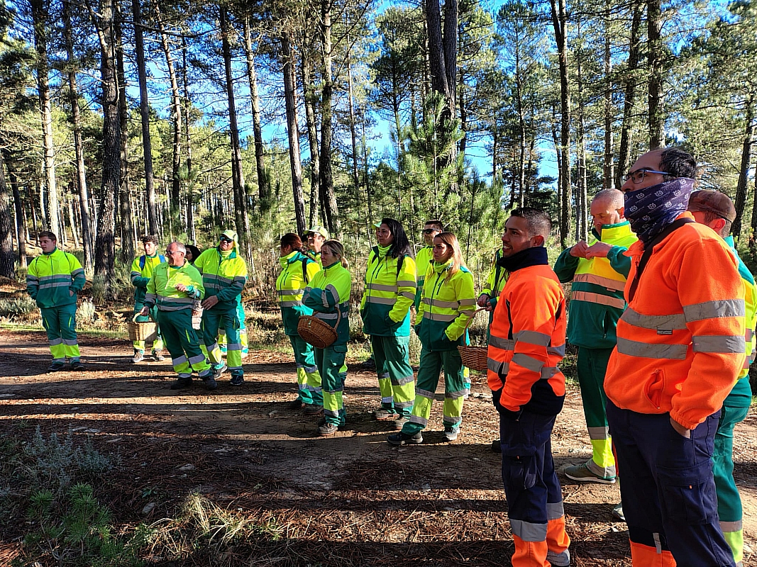 Formación y empleo Alto Águeda Verde Plus en Salamanca