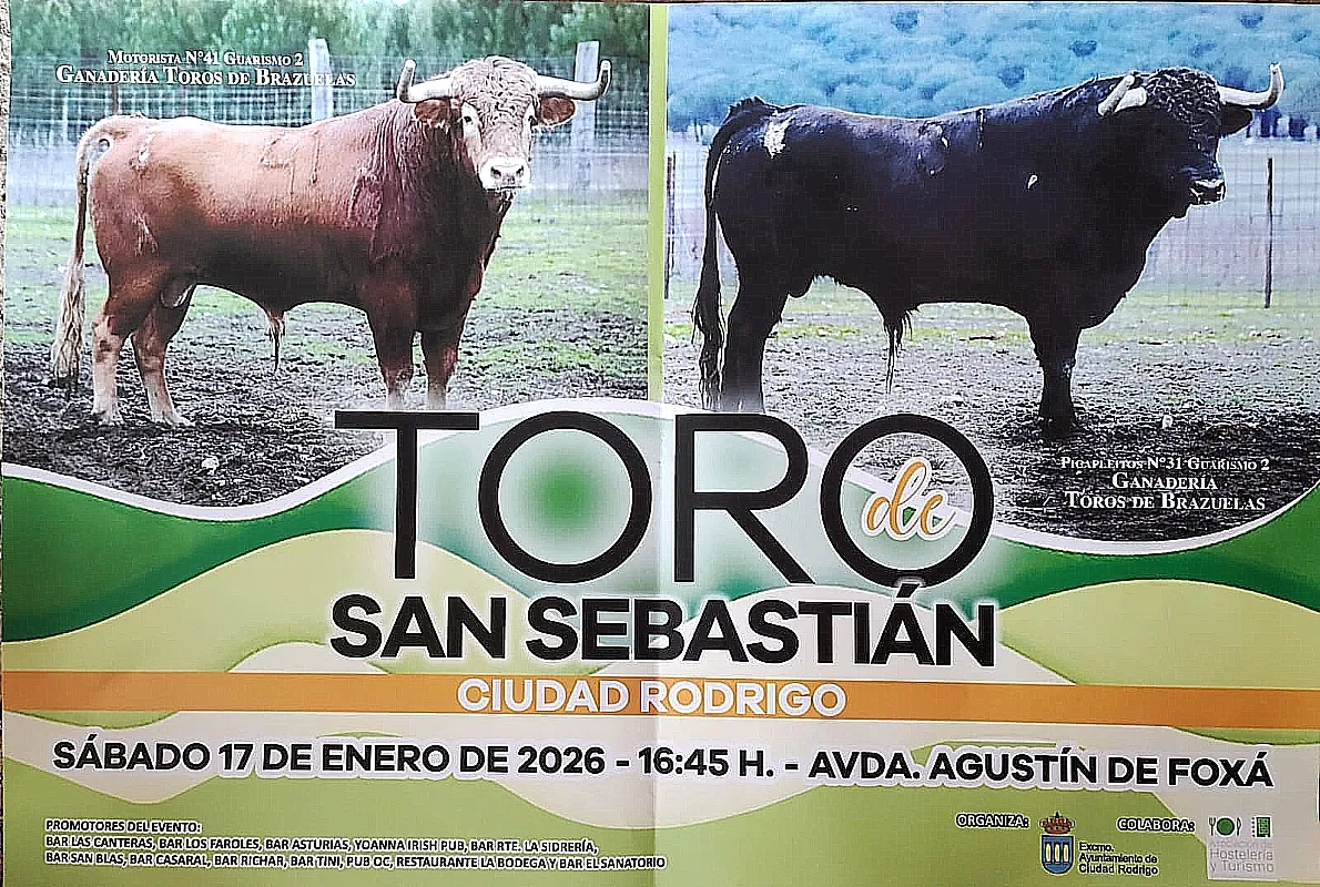 Foto 5 - Ciudad Rodrigo se prepara para el V Toro de San Sebasti&aacute;n con dos astados de Brazuelas