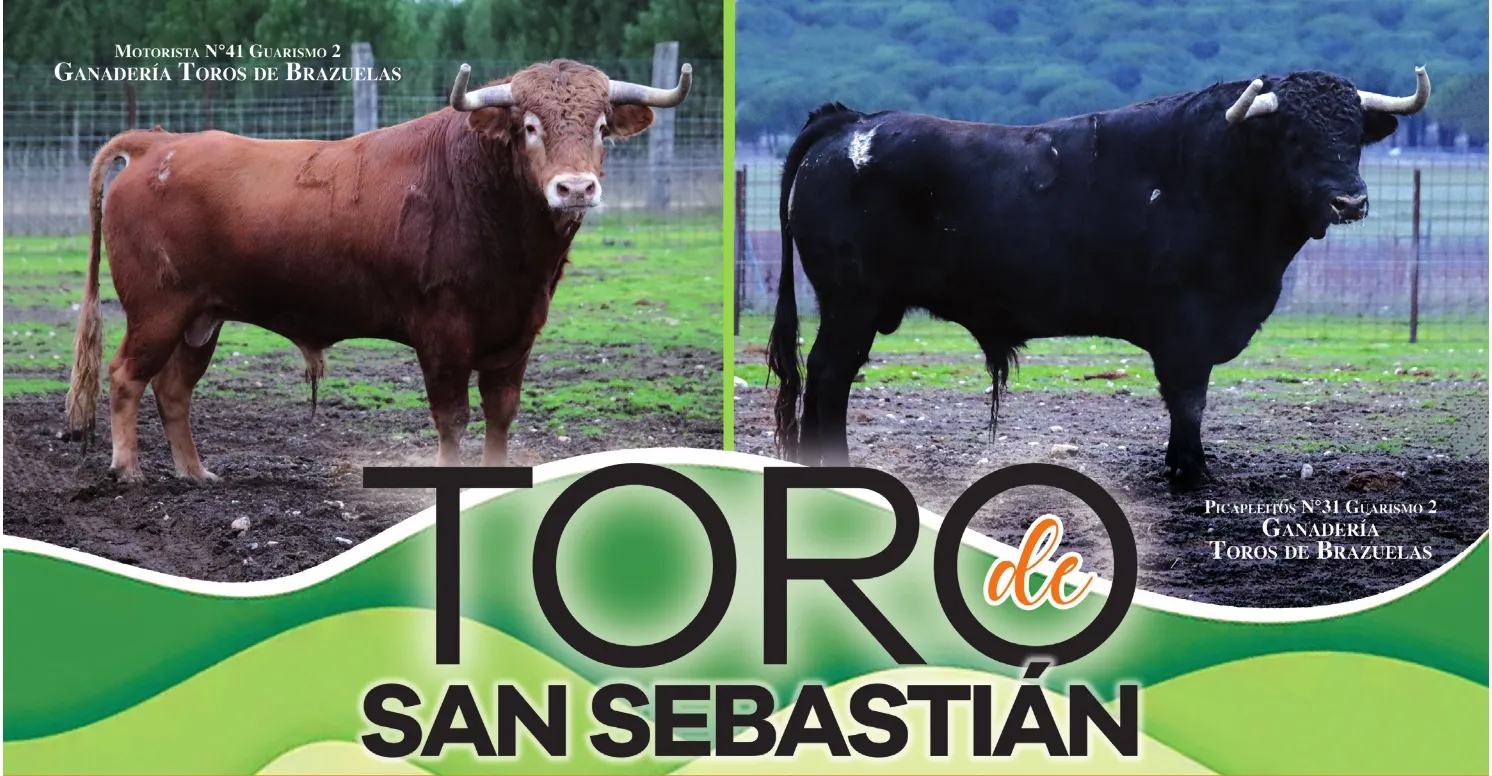 Foto 2 - Ciudad Rodrigo se prepara para el V Toro de San Sebasti&aacute;n con dos astados de Brazuelas