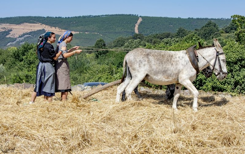 Las Eras de Monsagro, declaradas Bien de Interés Cultural