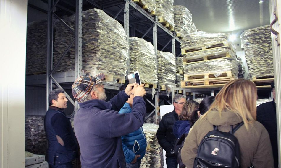 Los portugueses y el bacalao: Bacalao de Cura Tradicional Portuguesa 