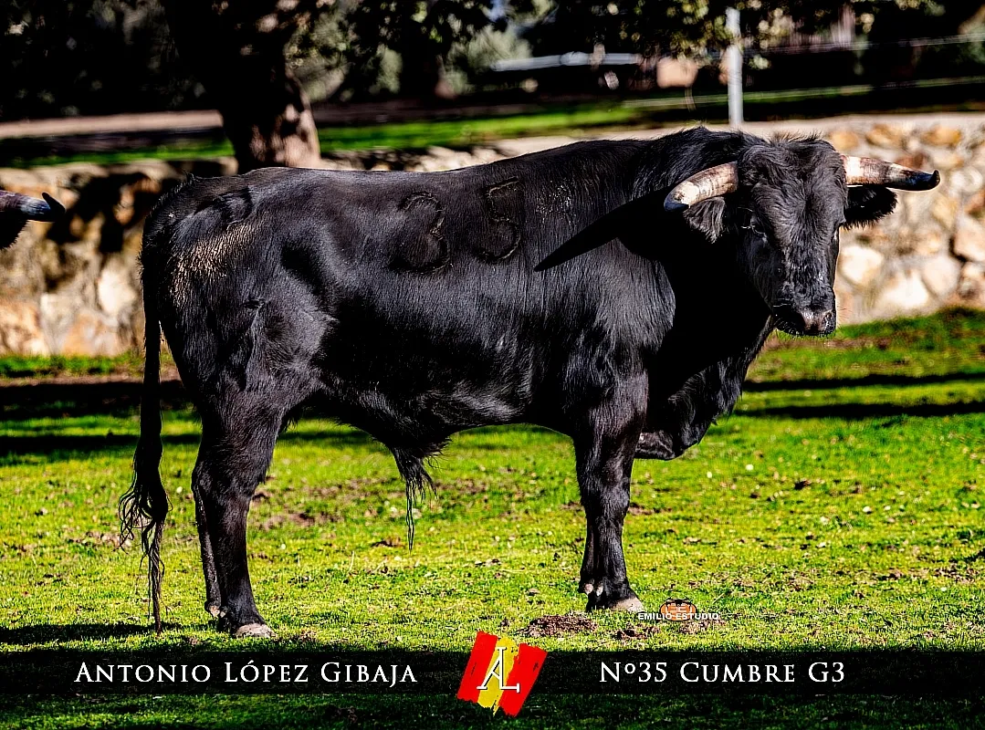 Domingo Encierro a caballo