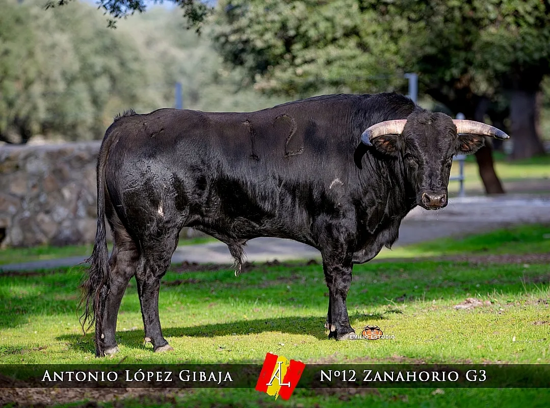 VeintiDomingo Encierro a caballo