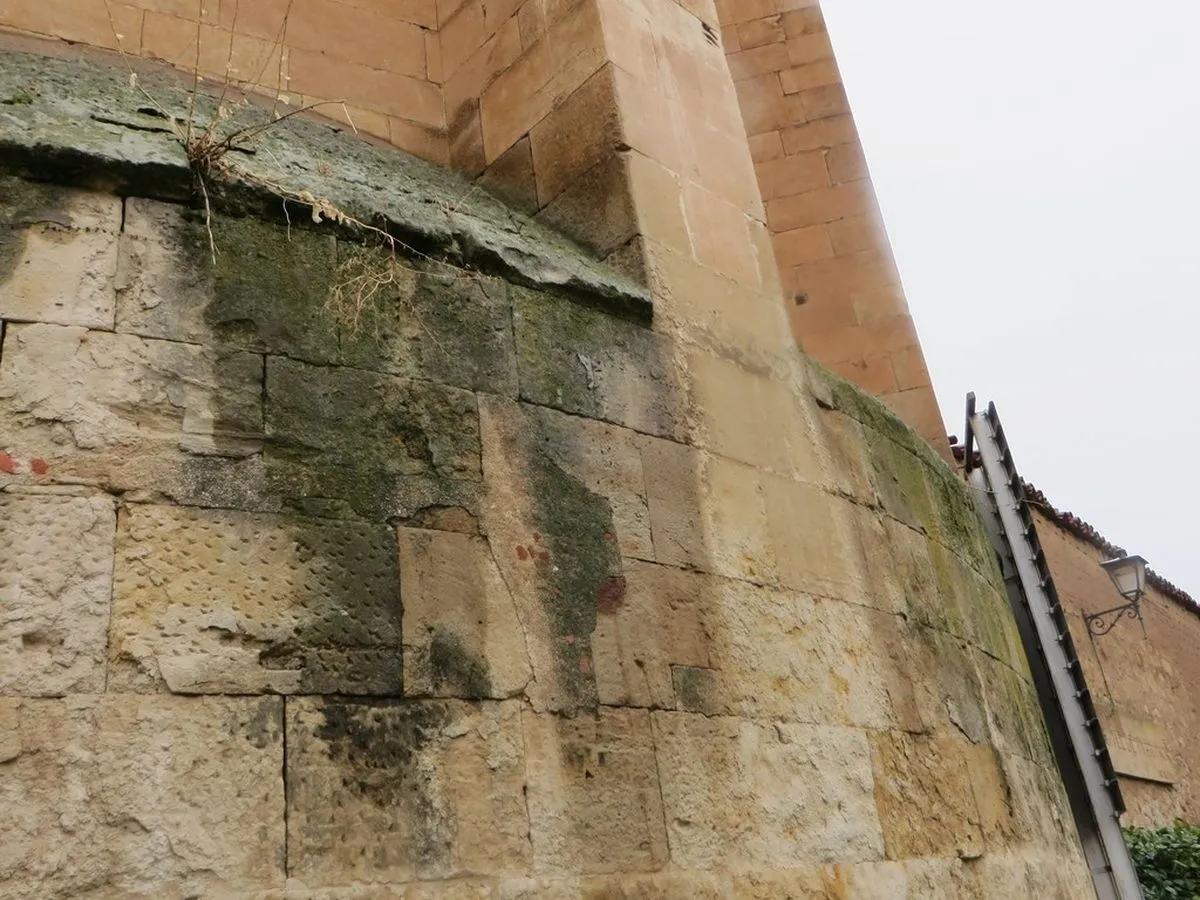 Fotos: Ciudadanos por la Defensa del Patrimonio Salamanca