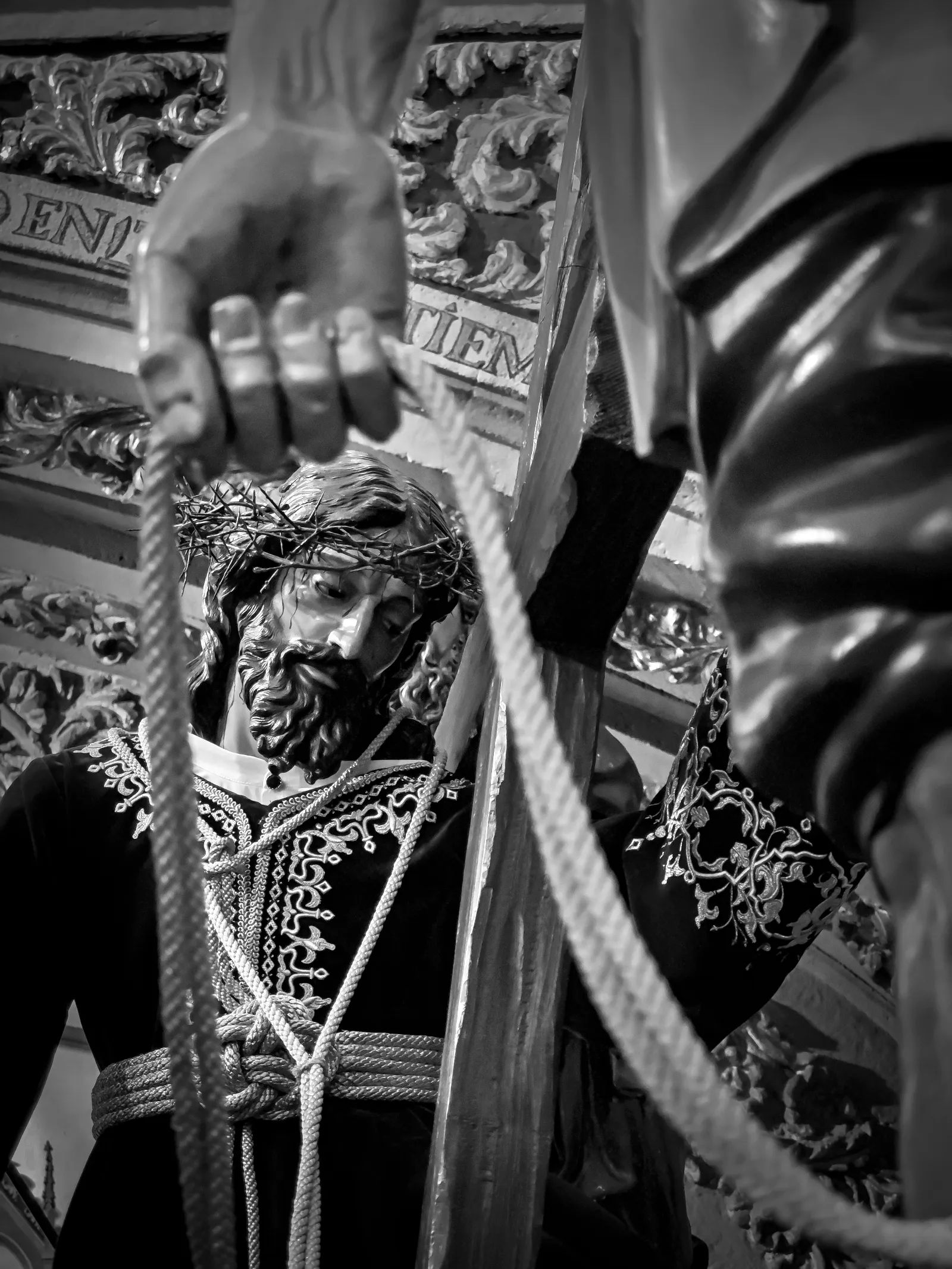 Ganadores del V Concurso Fotográfico de la Vera Cruz 2025