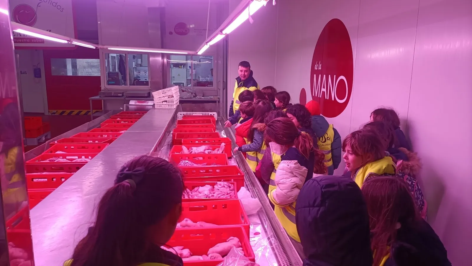 Foto 7 - Los alumnos del Colegio Antonio Machado aprenden, disfrutan y se divierten en MercaSalamanca (Fotos)
