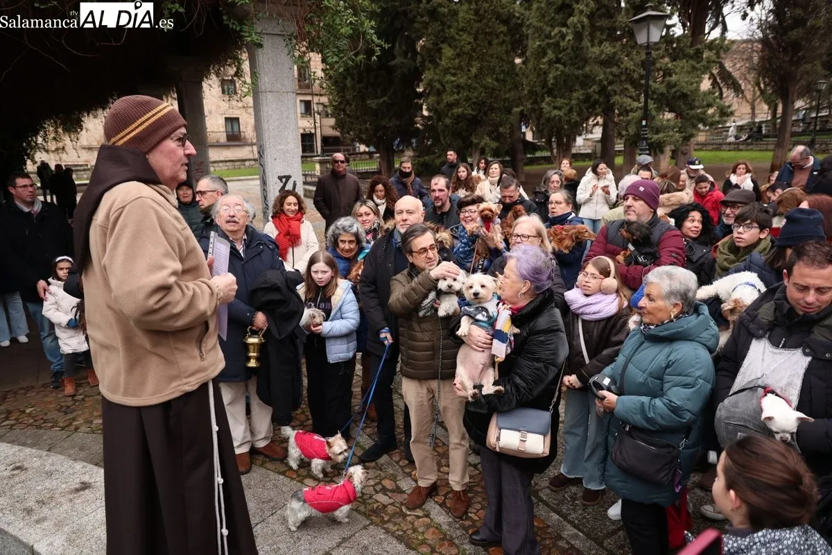 Bendición de los animales en el Campo de San Francisco de Salamanca. Foto: David Sañudo