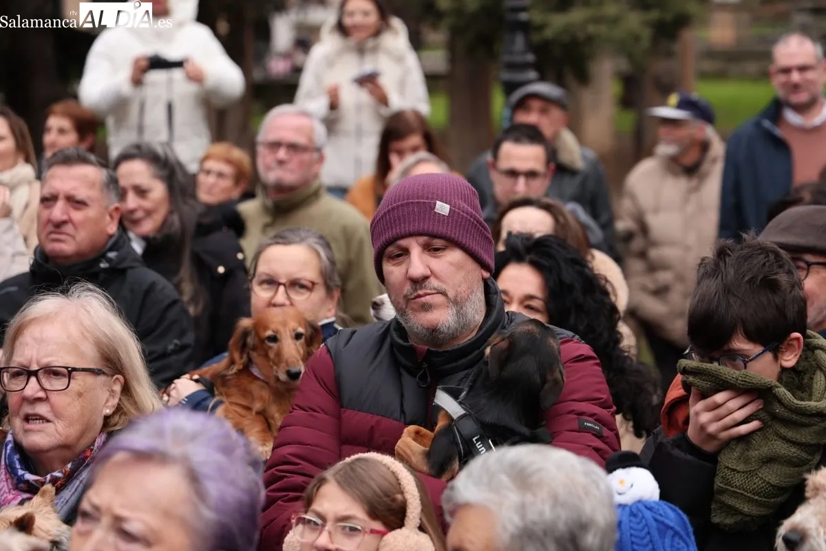 Bendición de los animales en el Campo de San Francisco de Salamanca. Foto: David Sañudo