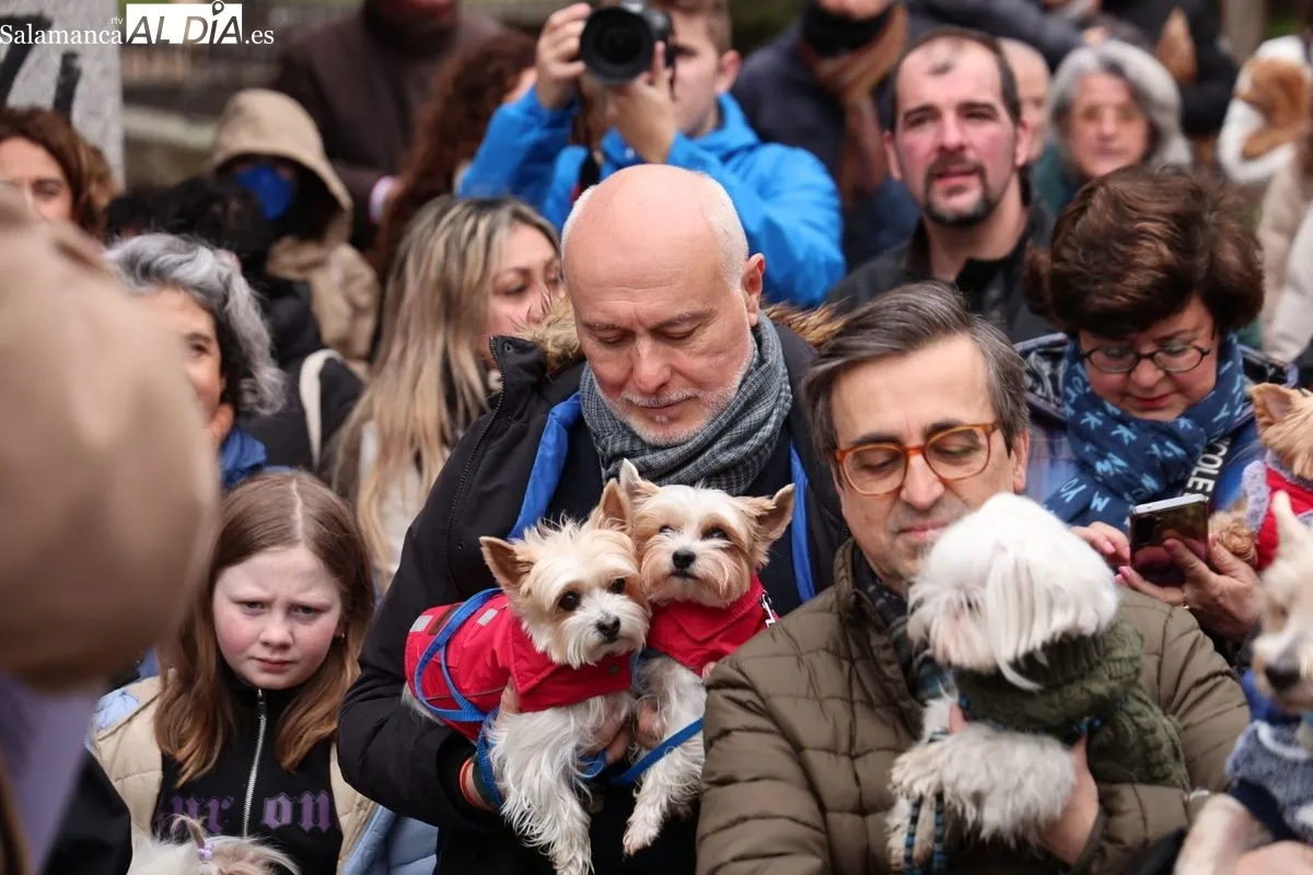 Bendición de los animales en el Campo de San Francisco de Salamanca. Foto: David Sañudo