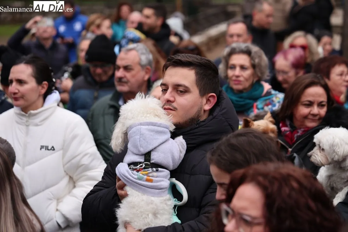 Bendición de los animales en el Campo de San Francisco de Salamanca. Foto: David Sañudo