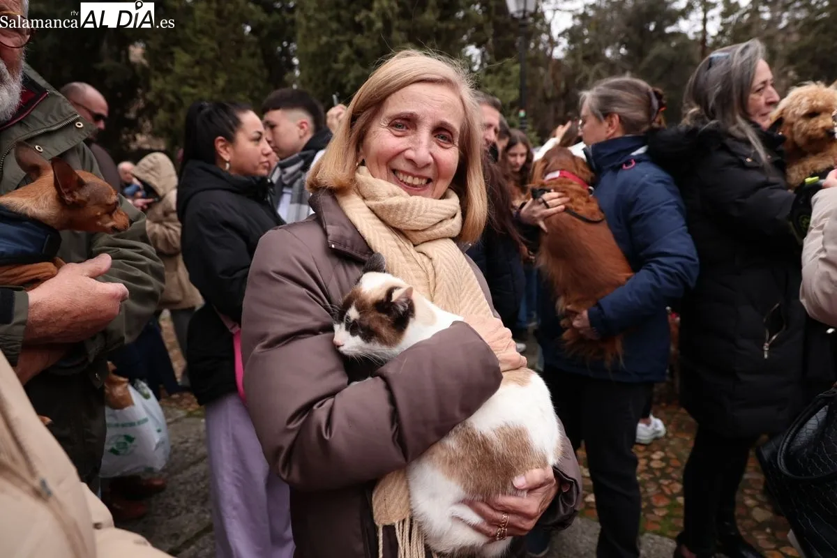 Bendición de los animales en el Campo de San Francisco de Salamanca. Foto: David Sañudo
