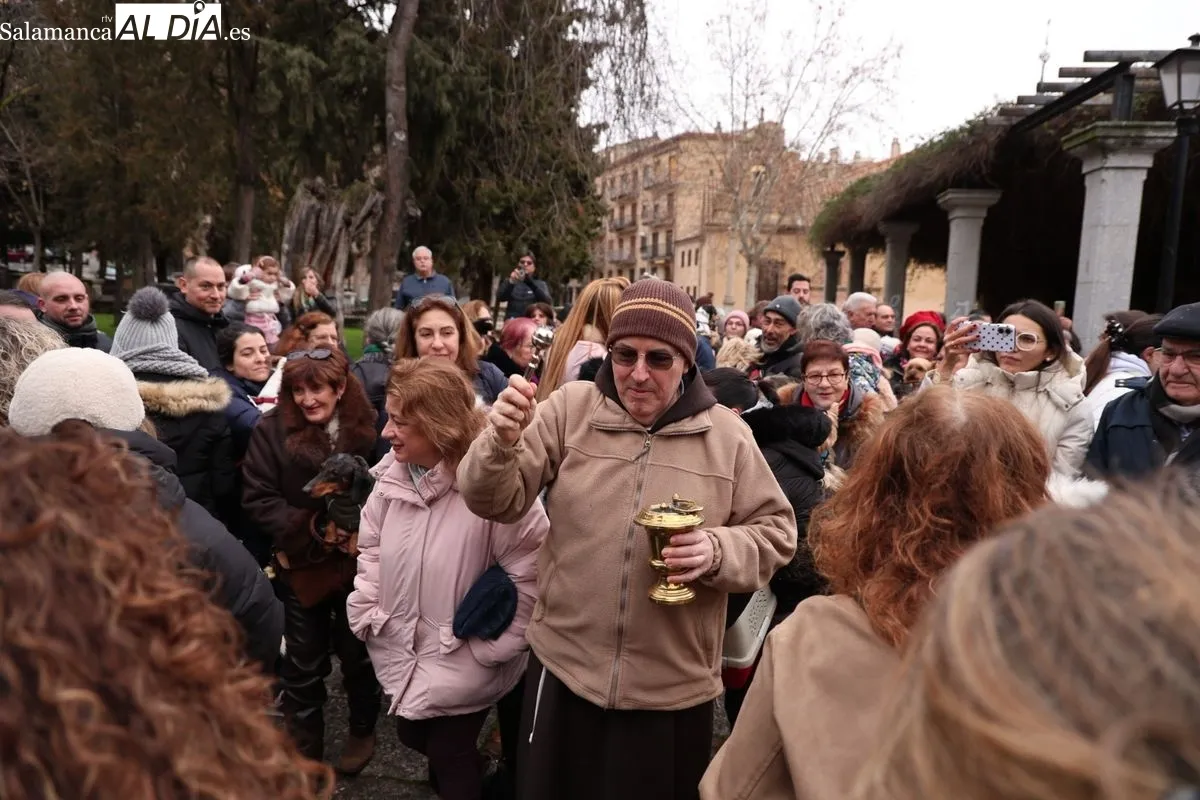 Bendición de los animales en el Campo de San Francisco de Salamanca. Foto: David Sañudo