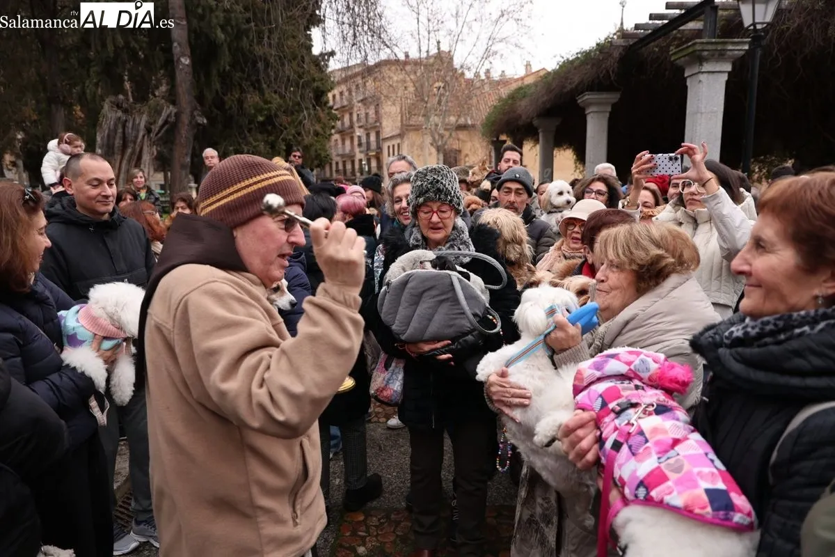 Bendición de los animales en el Campo de San Francisco de Salamanca. Foto: David Sañudo
