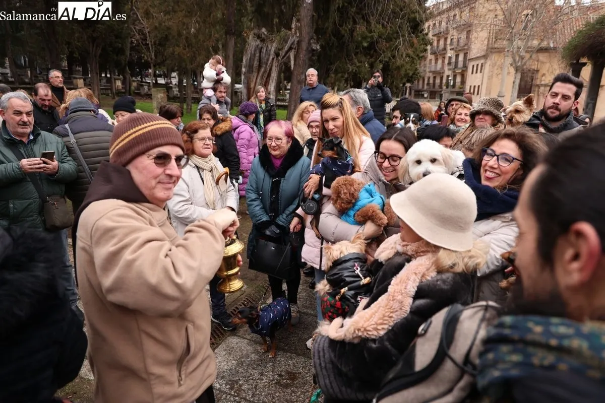 Bendición de los animales en el Campo de San Francisco de Salamanca. Foto: David Sañudo