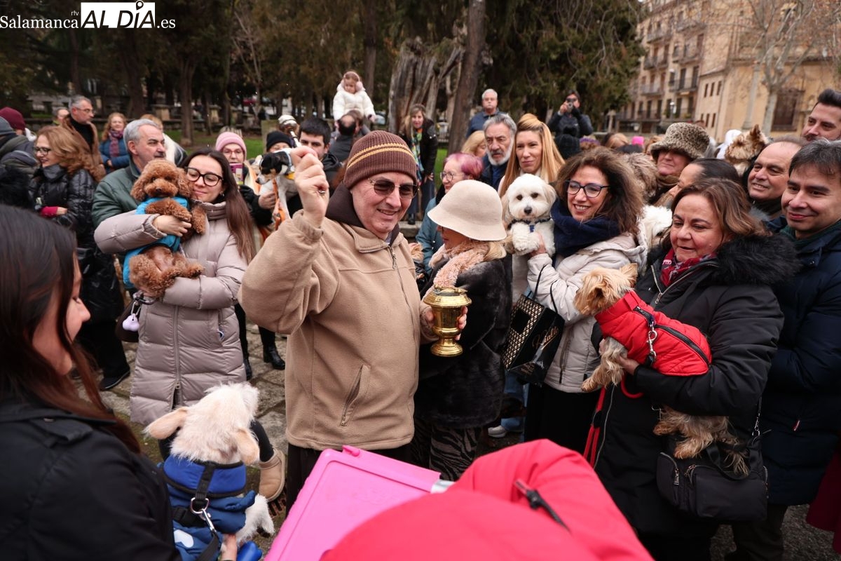 La bendición de animales por San Antón reúne a los salmantinos