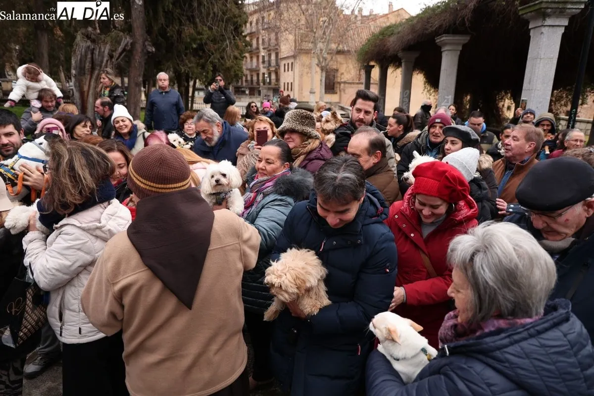 Bendición de los animales en el Campo de San Francisco de Salamanca. Foto: David Sañudo