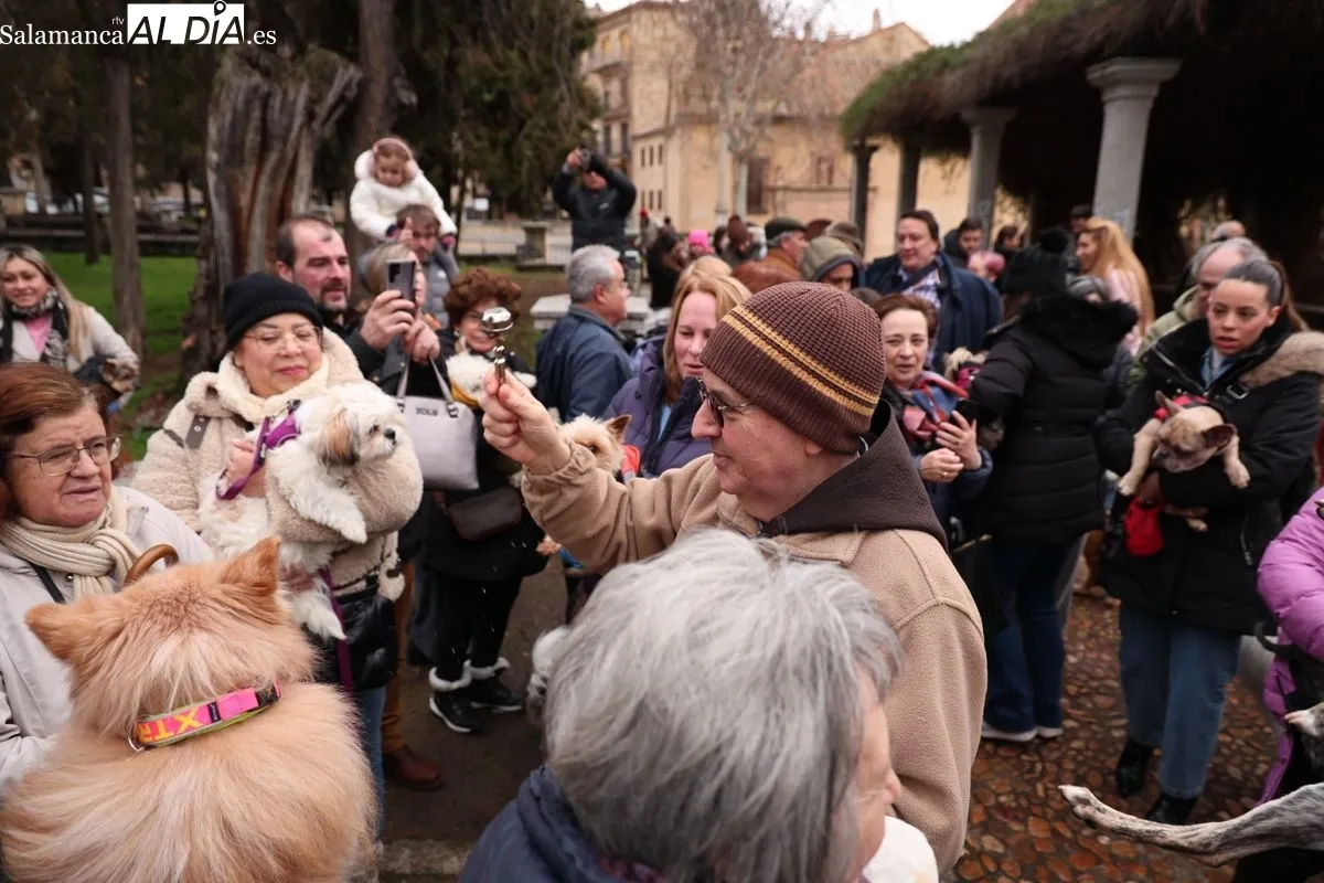 Bendición de los animales en el Campo de San Francisco de Salamanca. Foto: David Sañudo