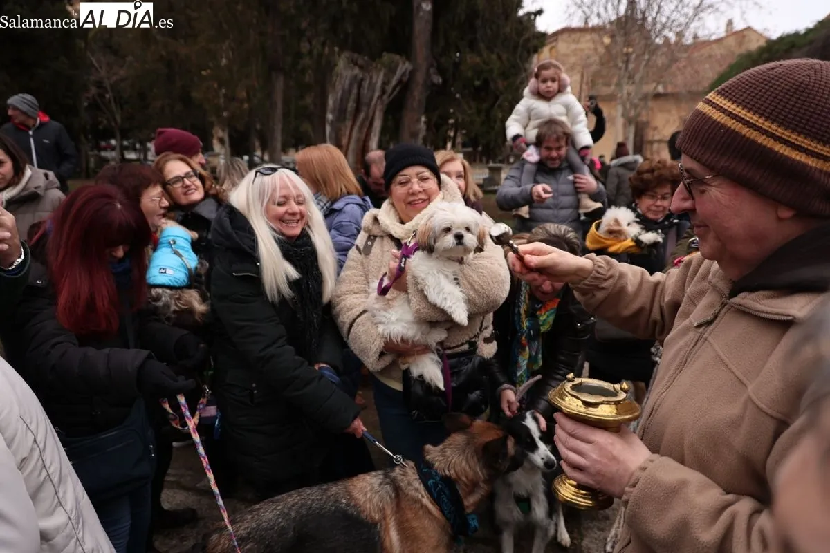 Bendición de los animales en el Campo de San Francisco de Salamanca. Foto: David Sañudo