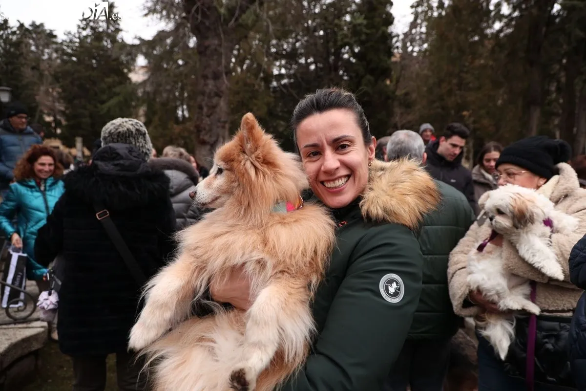 Bendición de los animales en el Campo de San Francisco de Salamanca. Foto: David Sañudo