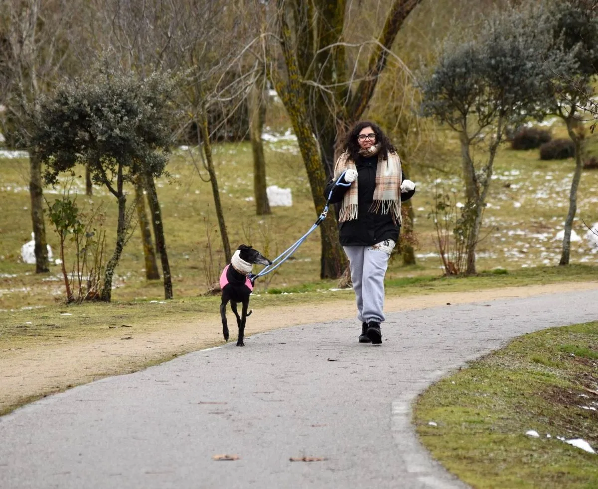 Canicros en Guijuelo