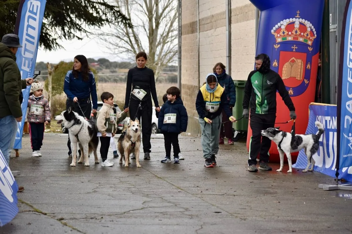 Canicros en Guijuelo