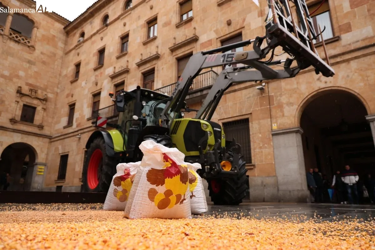 Los agricultores de Salamanca reparten legumbres y tiran grano para denunciar la 