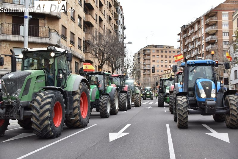 El campo de Salamanca protesta con una gran tractorada