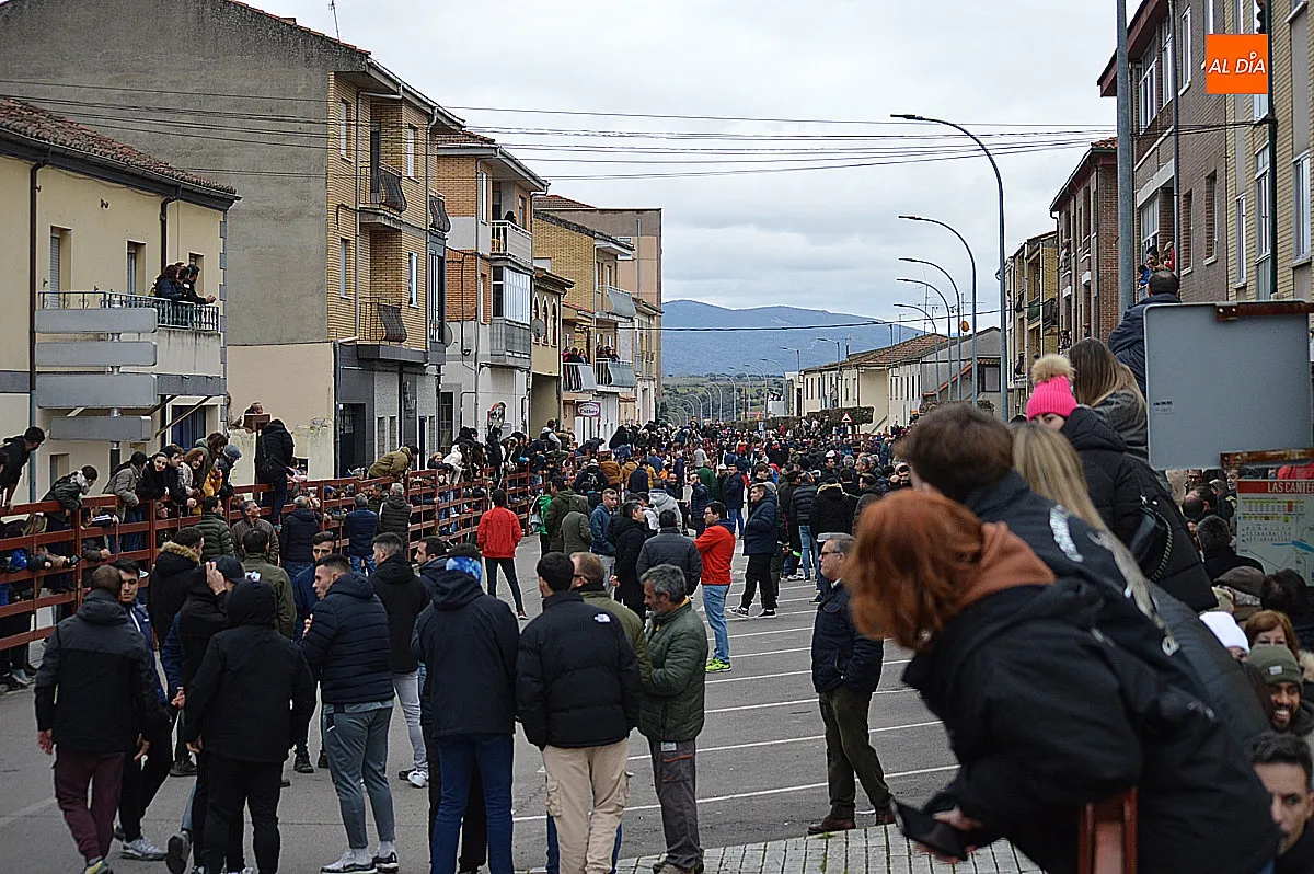 Toro de San Sebastián 