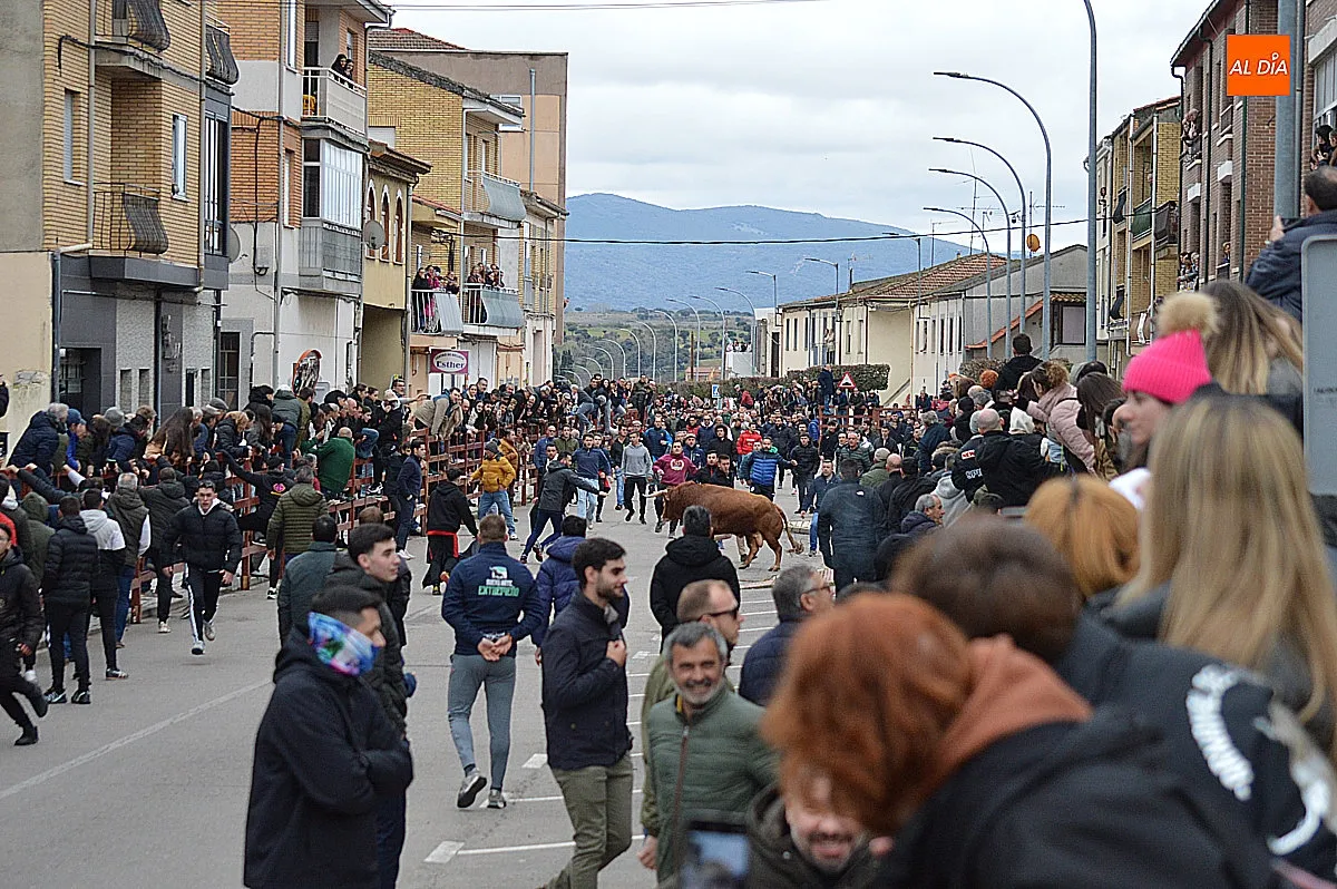 Toro de San Sebastián 