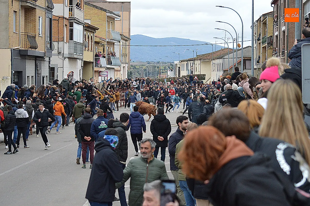 Toro de San Sebastián 