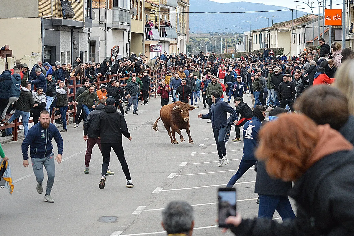 Toro de San Sebastián 