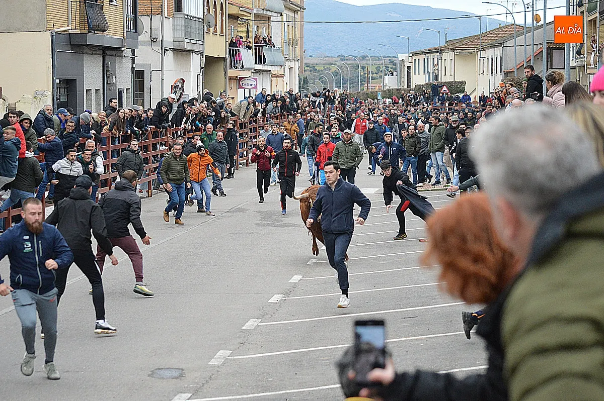 Toro de San Sebastián 