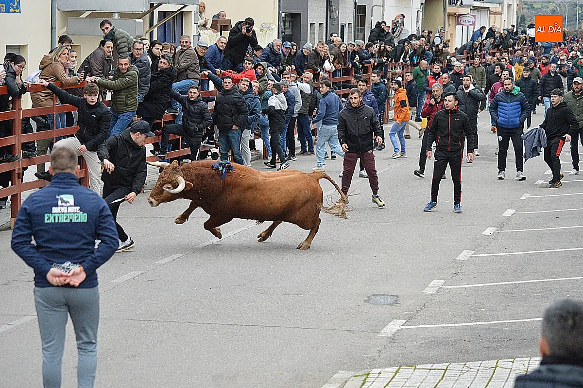 Toro de San Sebastián 