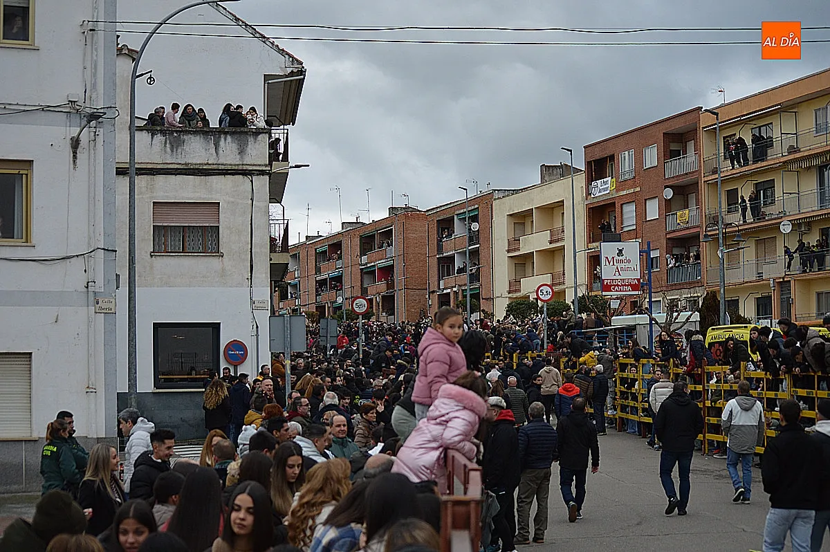 Toro de San Sebastián 