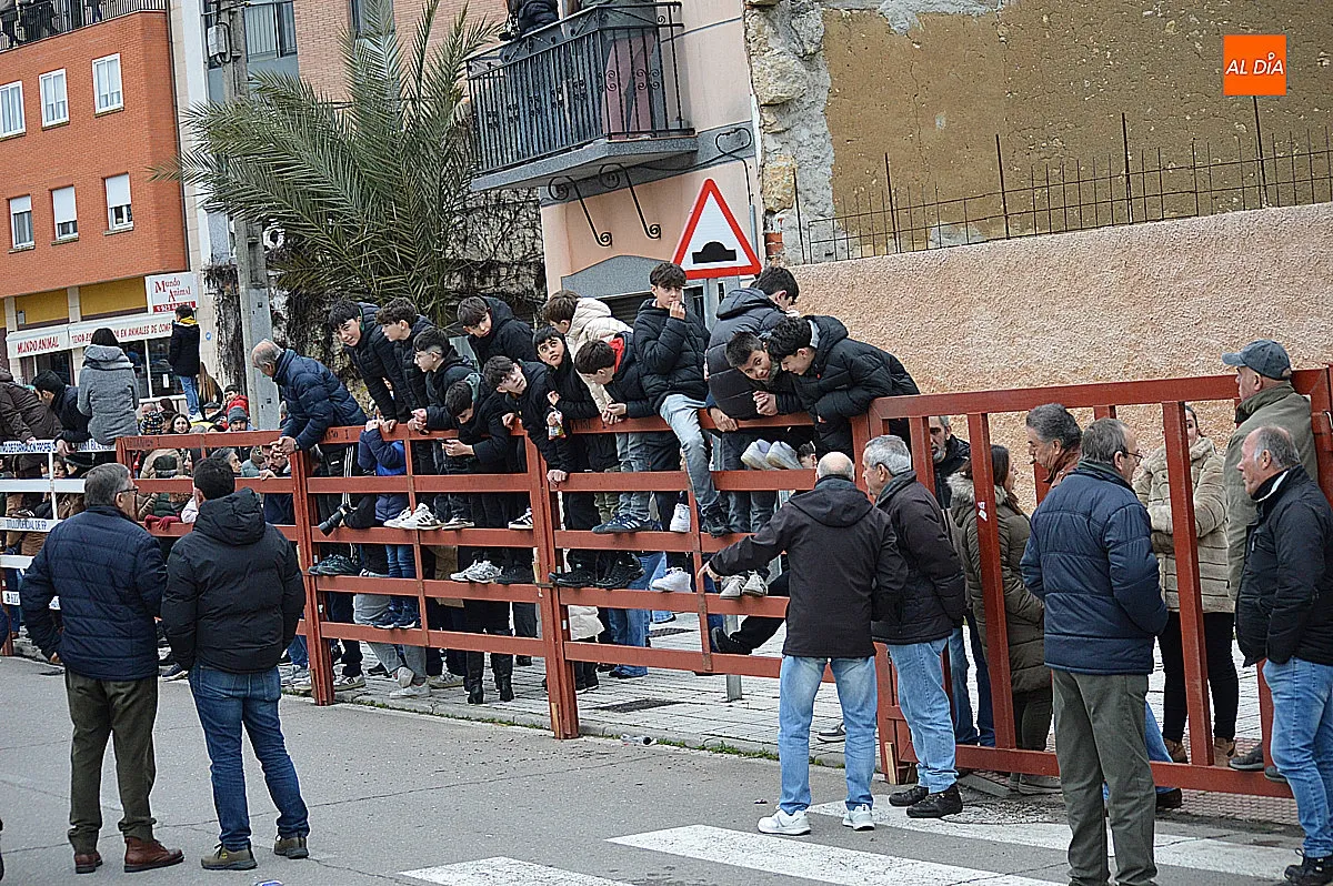 Toro de San Sebastián 