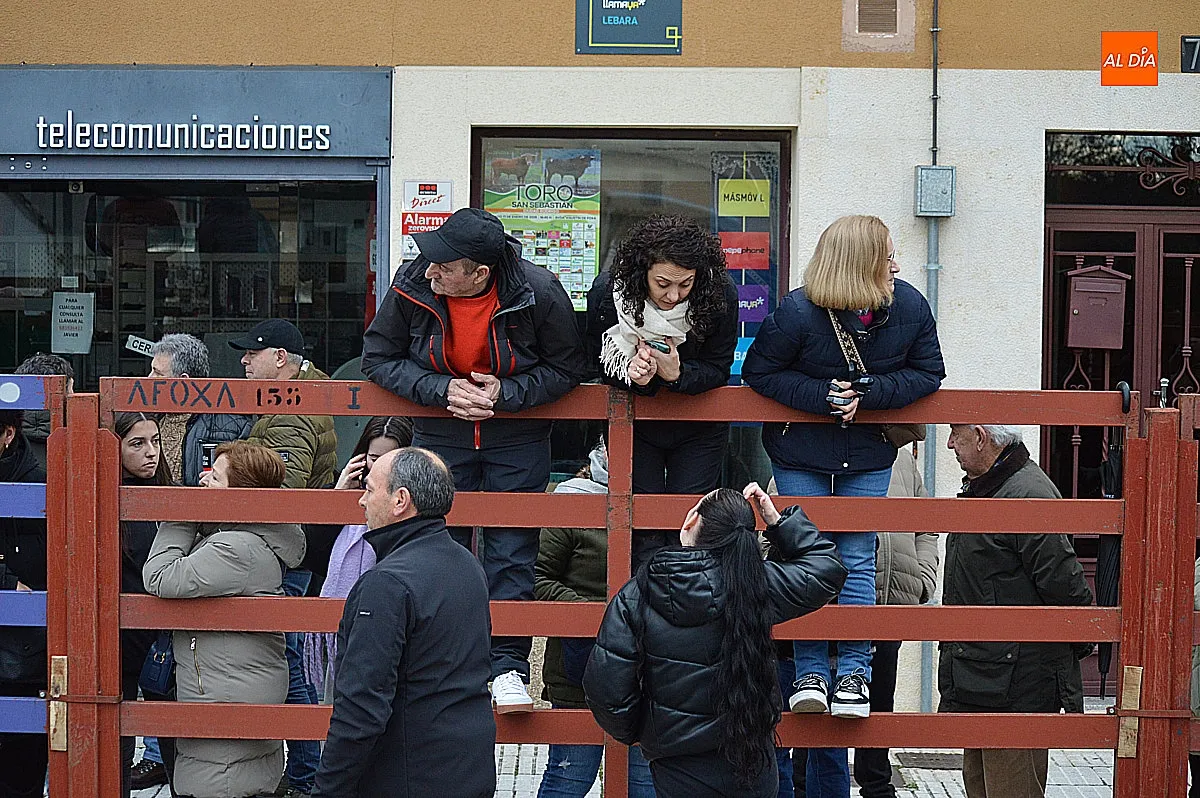Toro de San Sebastián 