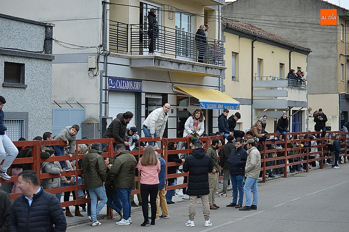 Toro de San Sebastián 