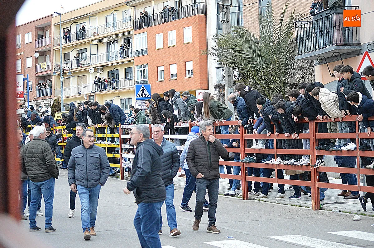 Toro de San Sebastián 
